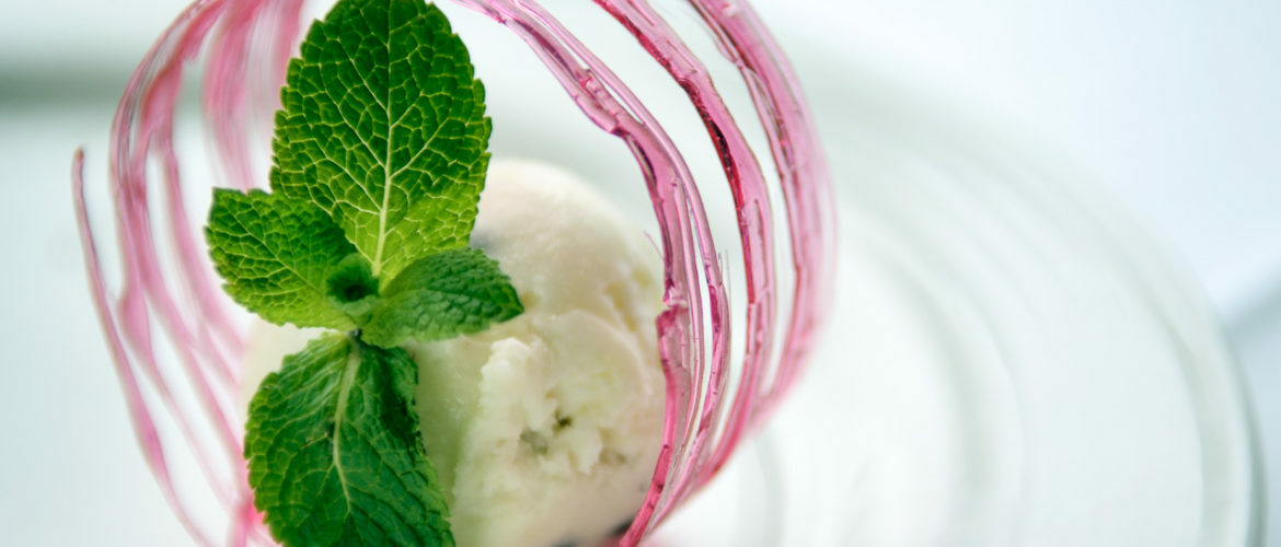 Food photography Example - ice cream in sugar circle with mint leaves