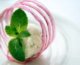 Food photography Example - ice cream in sugar circle with mint leaves
