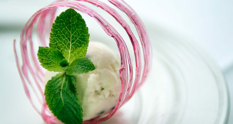 Food photography Example - ice cream in sugar circle with mint leaves